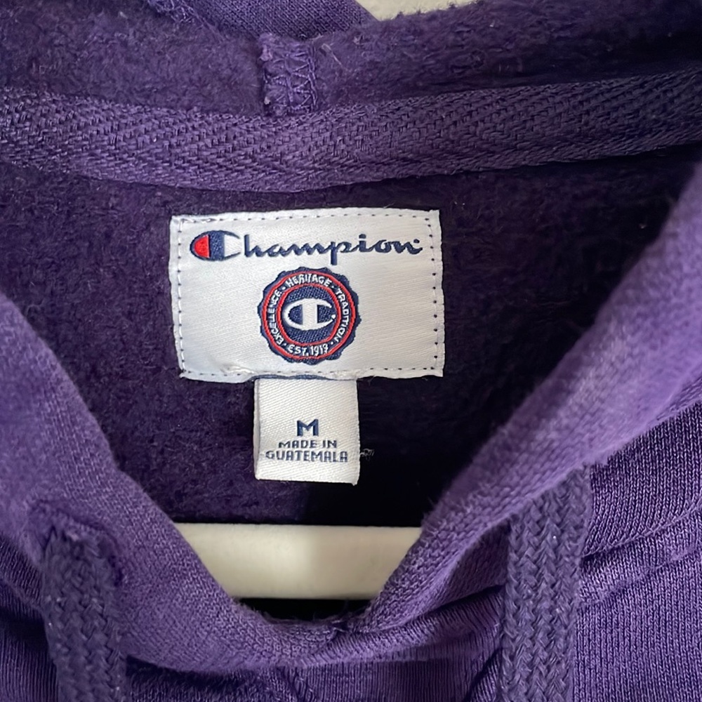 Cornell College Hoodie - Picture 4 of 4